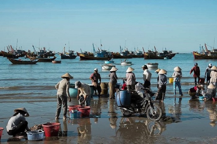 Buổi sáng tấp nập mang hải sản ra chợ bán của người dân để kịp chợ sớm.