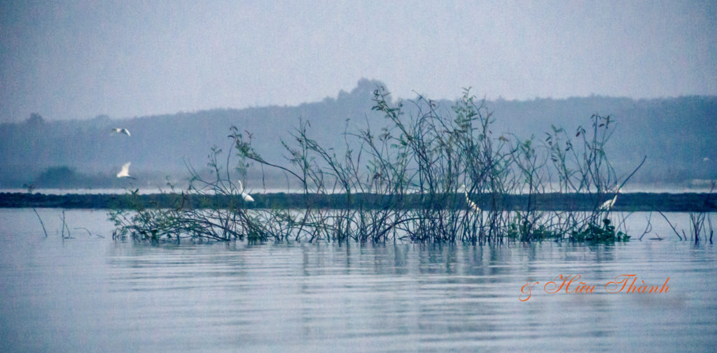 Hồ nước ngọt nào mang tên Biển Lạc nhưng lại nằm trọn trong rừng nguyên sinh, rừng này ở tỉnh nào của Việt Nam? - Ảnh 3.