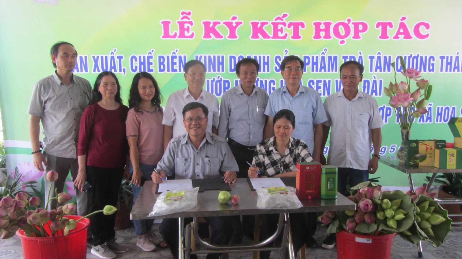 Rủ nhau trồng sen, chỉ bán lá cũng được 15.000 - 30.000 đồng/kg, nhà nông thu bộn tiền - Ảnh 3.