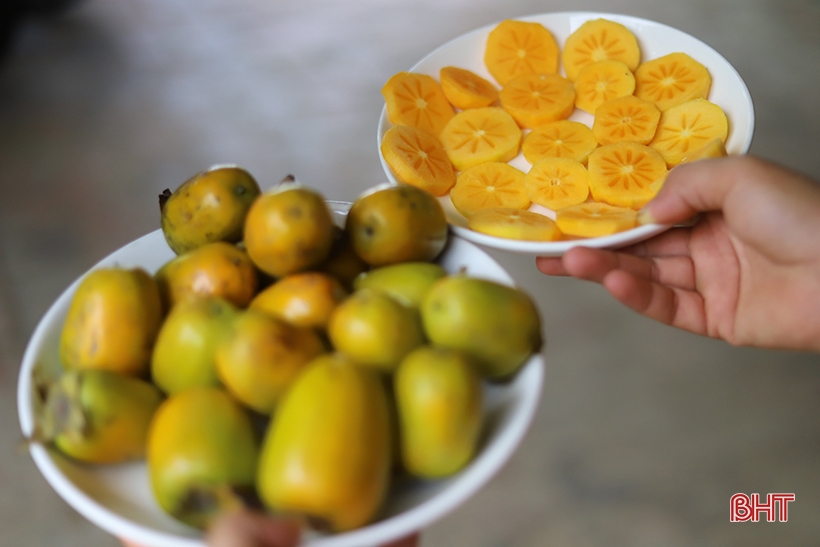 Hà Tĩnh: Loại quả giòn ngọt vào vụ, được mùa, được giá, nông dân "bỏ túi" hàng trăm triệu đồng - Ảnh 7.