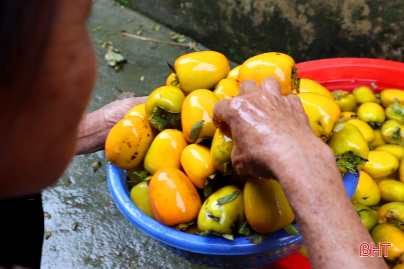 Hà Tĩnh: Loại quả giòn ngọt vào vụ, được mùa, được giá, nông dân "bỏ túi" hàng trăm triệu đồng - Ảnh 3.