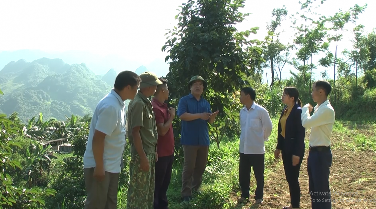 Mê mẩn ngắm mãi không chán vườn hồng không hạt ở cao nguyên Quản Bạ của Hà Giang - Ảnh 4. Mê mẩn ngắm mãi không chán vườn hồng không hạt ở cao nguyên Quản Bạ của Hà Giang - Ảnh 4.