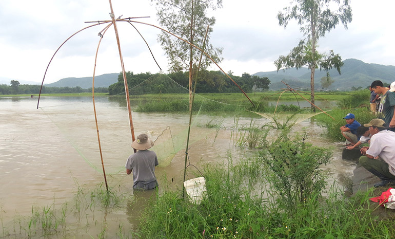 Mùa nước bạc là vào tháng mấy mà dân Phú Yên thả lưới, đặt lờ bắt cá, toàn con béo, nướng chảy mỡ? - Ảnh 1.