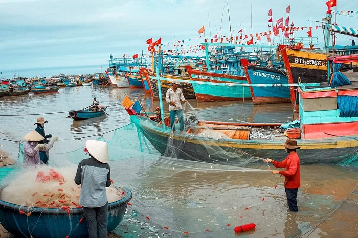 Các chú, các cô, anh chị nghề biển đang kiểm tra lại lưới , gỡ từng con cá, chuẩn bị cho một vụ đánh bắt tiếp theo.