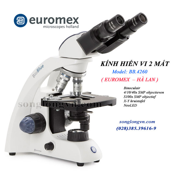 Kính hiển vi 2 mắt bb.4260 Euromex Hà Lan