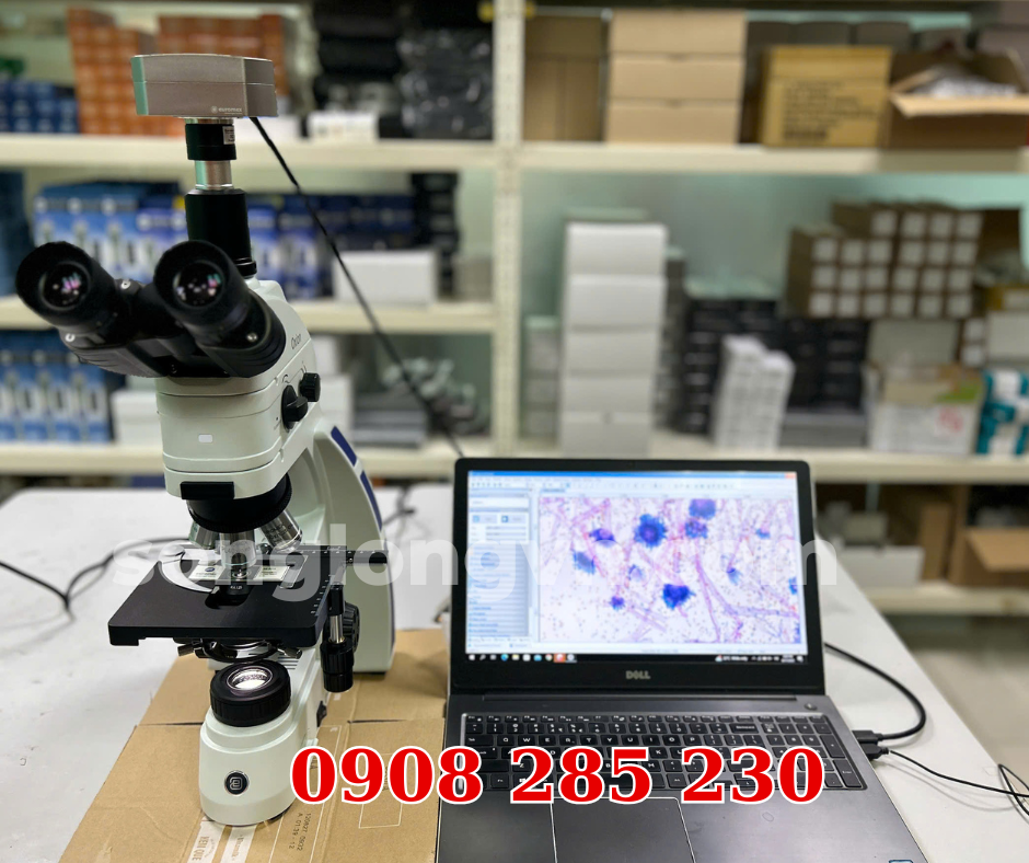 Kính hiển vi huỳnh quang 