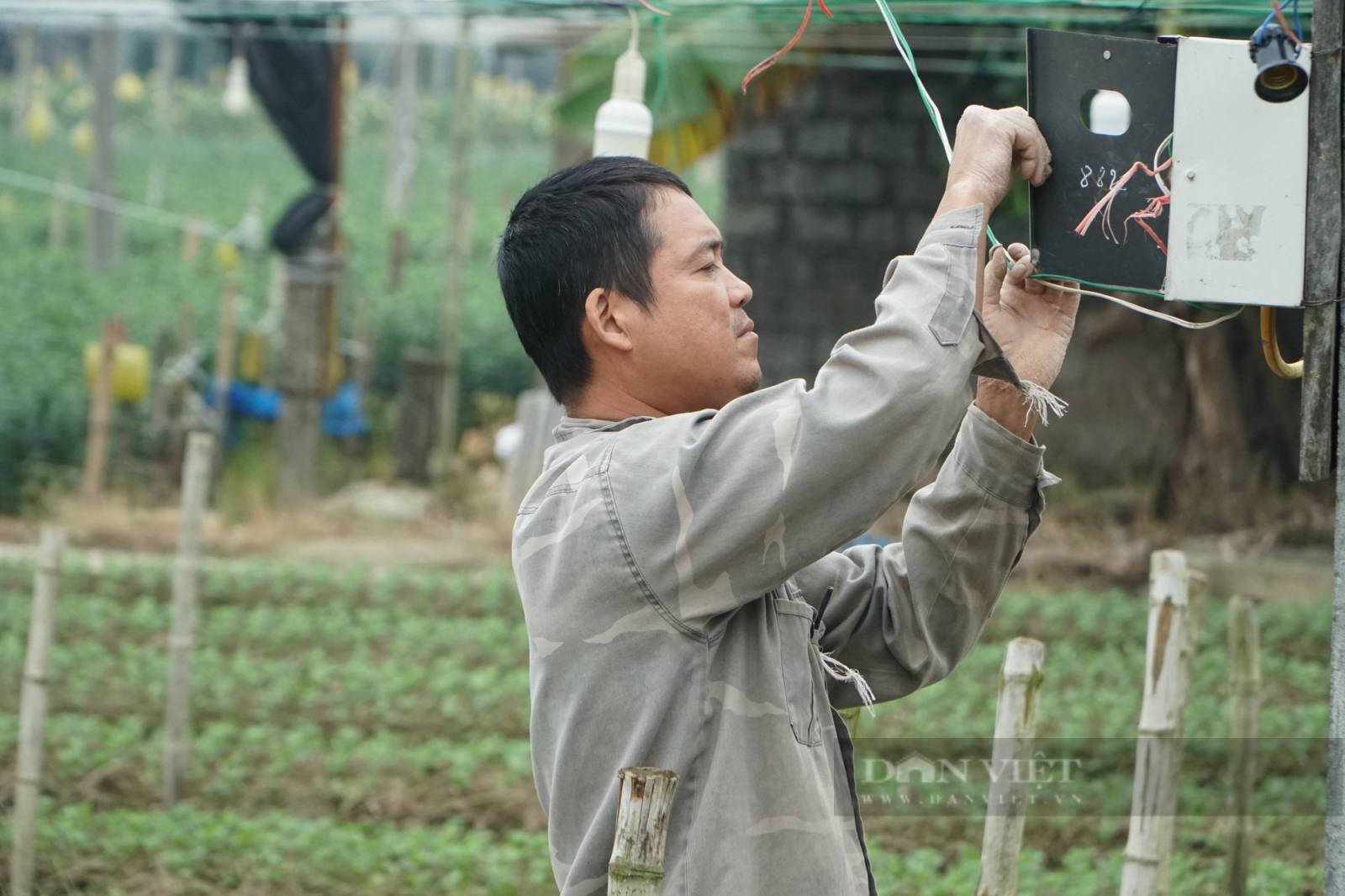 Thanh Hoá: Làng hoa lớn nhất tỉnh tất bật vào vụ Tết 2023 - Ảnh 9.