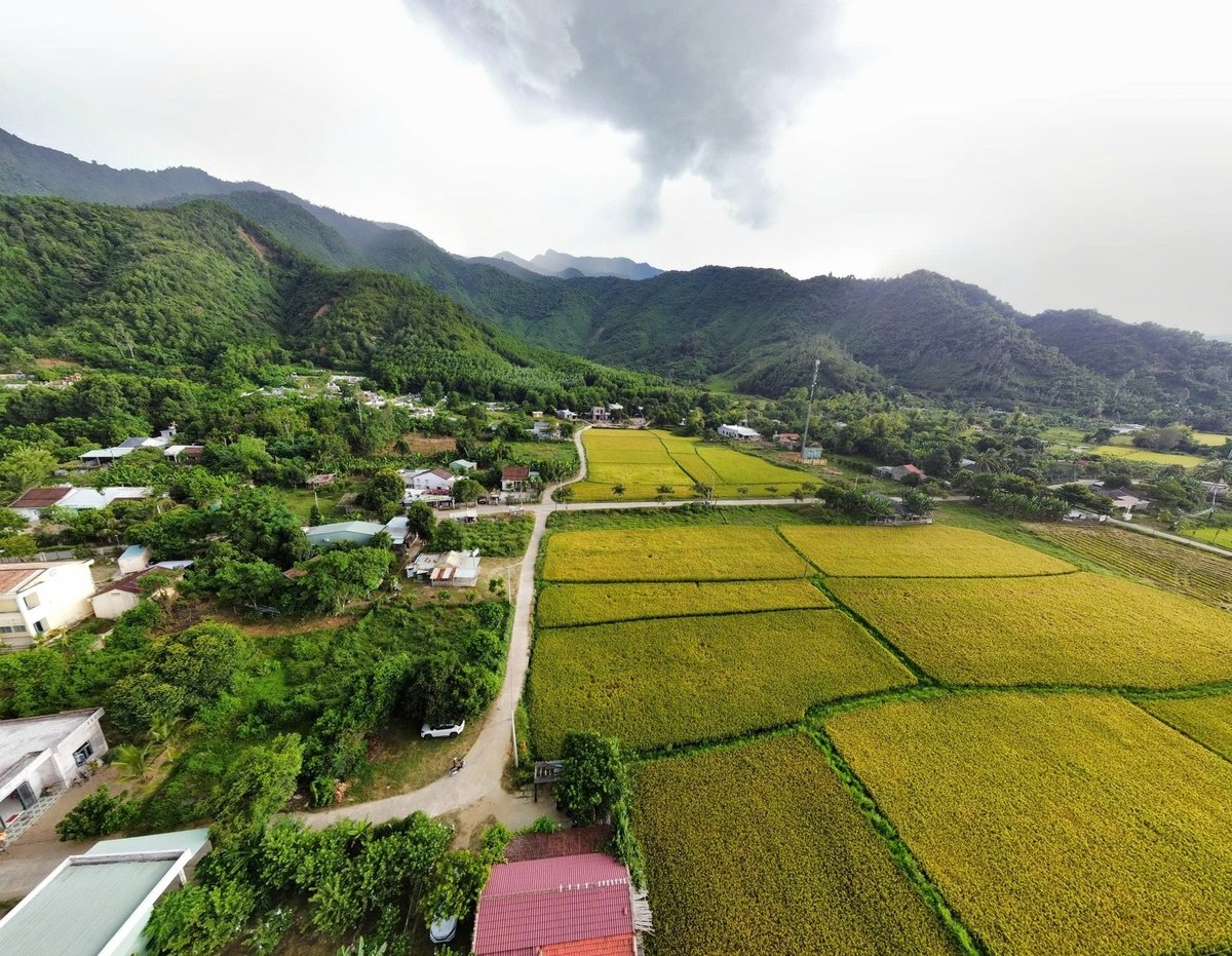 Đà Nẵng xác định nông nghiệp công nghệ cao, thông minh và sinh thái là một trong những trụ cột chiến lược. Ảnh: Lan Anh. Đà Nẵng xác định nông nghiệp công nghệ cao, thông minh và sinh thái là một trong những trụ cột chiến lược. Ảnh: Lan Anh.