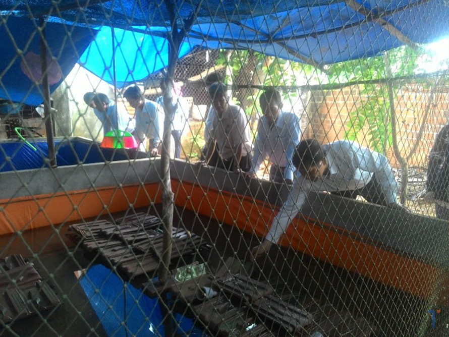 lươn thương phẩm