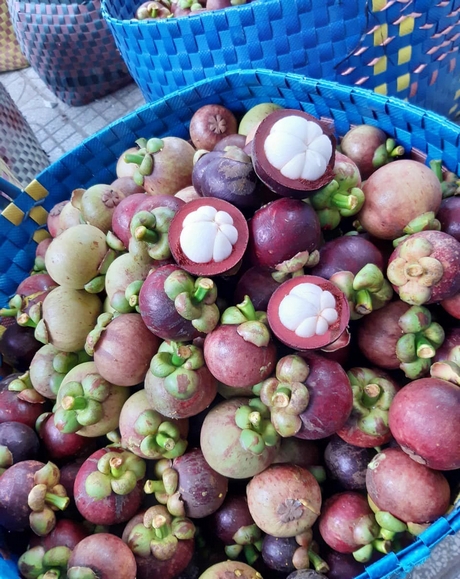 Giá măng cụt Vĩnh Long, vì sao cùng trồng một vườn mà giá măng cụt son cao hơn giá trái măng cụt cám? - Ảnh 1.