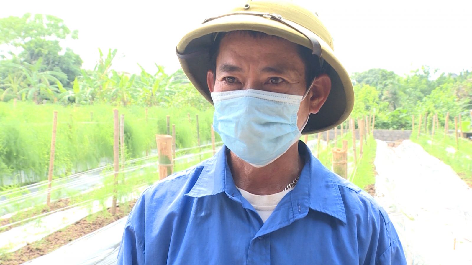 Trồng thứ cây trông như cây cảnh, không phải cây tre, trồi lên vô số mầm măng mập mạp, nông dân Thái Bình đổi đời - Ảnh 6.
