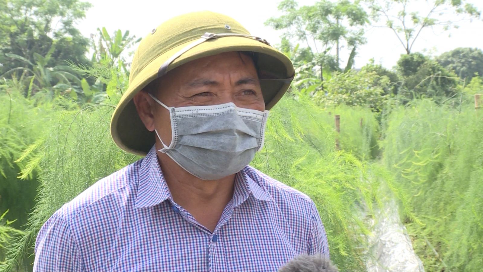 Trồng thứ cây trông như cây cảnh, không phải cây tre, trồi lên vô số mầm măng mập mạp, nông dân Thái Bình đổi đời - Ảnh 4.