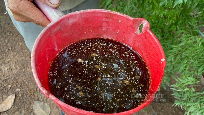 Nông dân Đồng Nai dùng chế phẩm IMO biến rác thành phân tiết kiệm hàng trăm triệu mỗi năm - Ảnh 5.