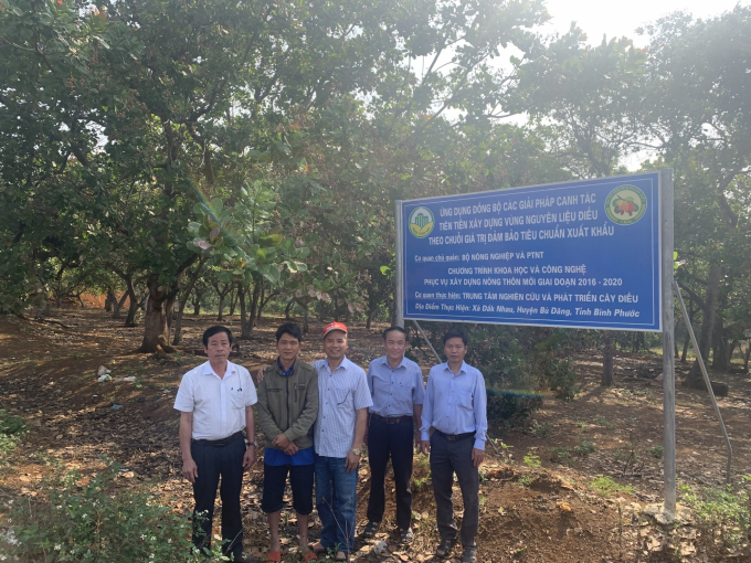 mh-tai-dak-nhau-1535_20211130_887.jpg Dự án 'Ứng dụng đồng bộ các giải pháp canh tác tiên tiến xây dựng vùng nguyên liệu điều theo chuỗi giá trị, đảm bảo tiêu chuẩn xuất khẩu' được thực hiện tại xã Đắk Nhau và Bom Bo (Bù Đăng, Bình Phước). Ảnh: Trần Trung.