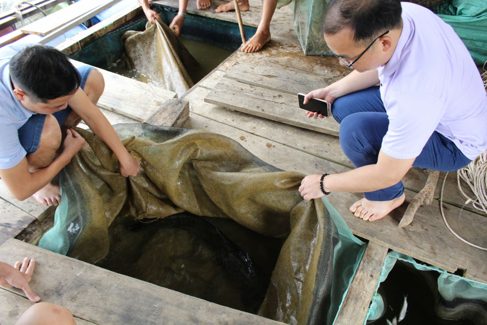 Nuôi cá lồng trên sông Gâm, có cả cá quý hiếm, nông dân Bắc Mê ở Hà Giang nhà nào nuôi là khá giả - Ảnh 1. Nuôi cá lồng trên sông Gâm, có cả cá quý hiếm, nông dân Bắc Mê ở Hà Giang nhà nào nuôi là khá giả - Ảnh 1.