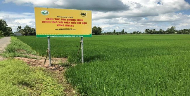 Cơ giới hóa đồng bộ, nông dân nhàn hơn, giàu hơn: Hoá giải "lời nguyền" đồng ruộng manh mún (Bài cuối) - Ảnh 5.