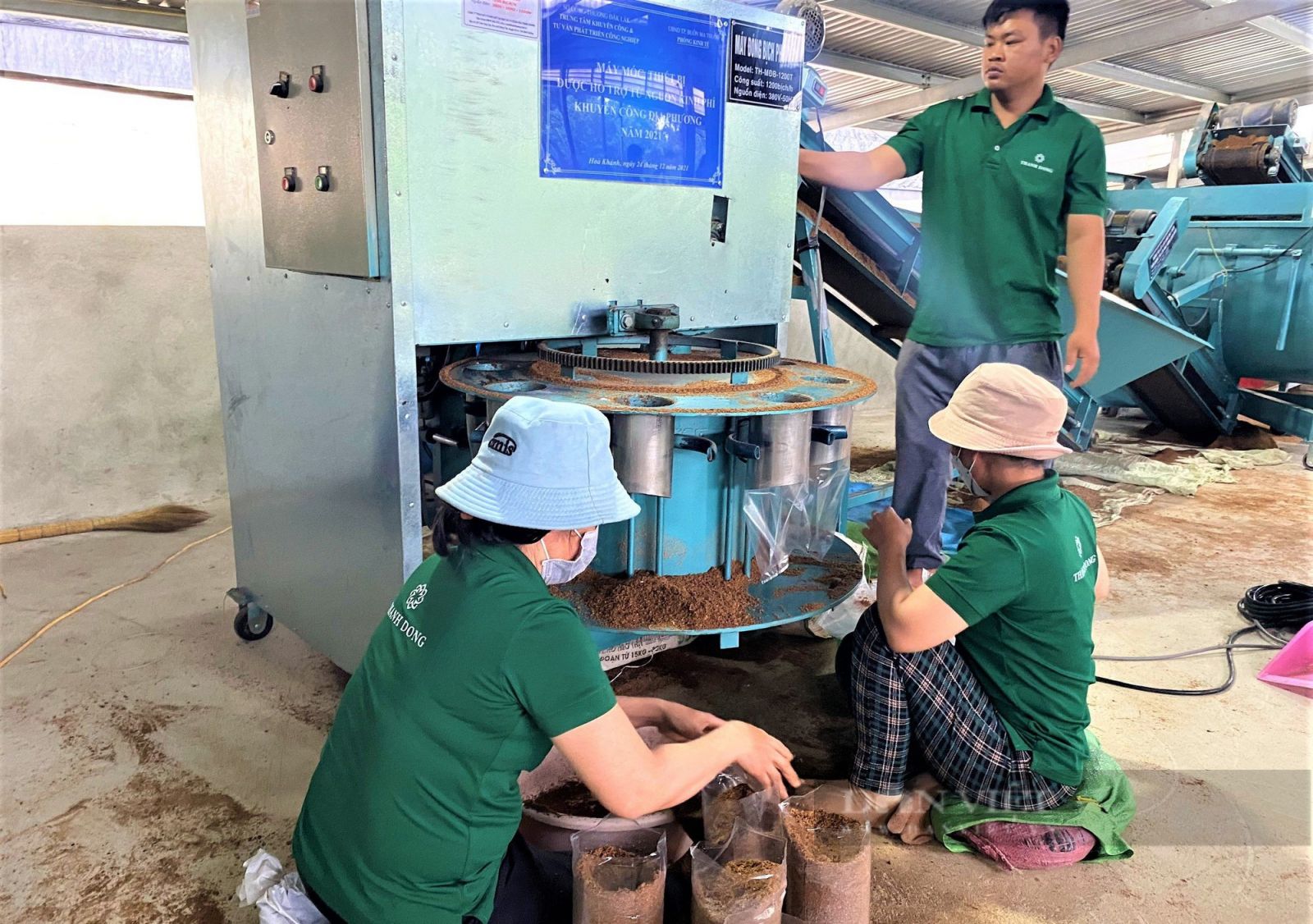 "Mỏ nấm" tiền tỷ dưới mái năng lượng mặt trời - Ảnh 2.
