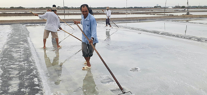 Thứ hạt mặn chát này năm nào cũng rẻ như cho, nay bất ngờ bán đắt kỷ lục, nông dân BR-VT tiếc vì khan hàng - Ảnh 2.