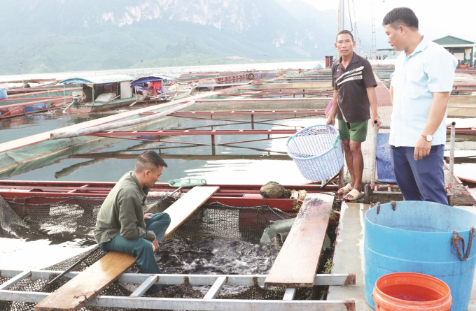 n-tieu-thu-san-pham-thuy-san-cuoi-nam-va-dip-tet-nam-2022-2353_20211213_419.jpeg Nuôi cá lòng hồ đã giúp thay đổi diện mạo đời sống cho nhiều địa phương ở Sơn La. Ảnh: Thiệu Nguyễn.