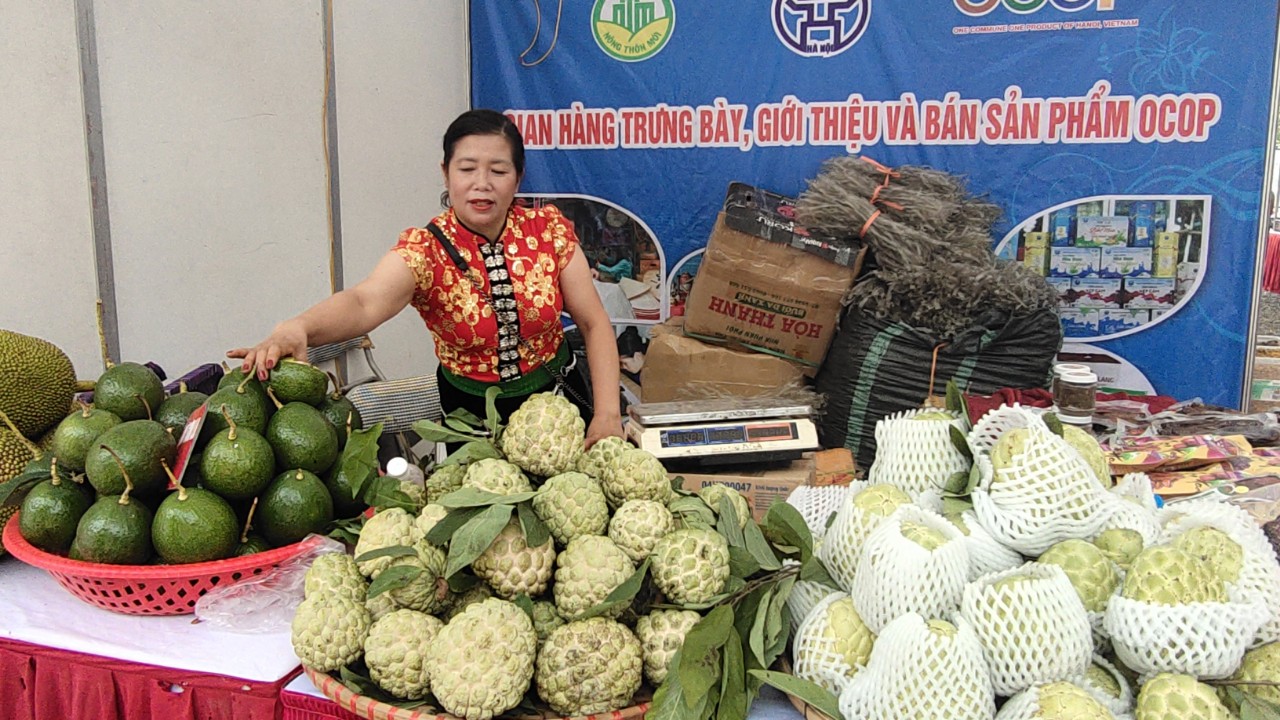 Thưởng thức trái na "khủng", bơ "khủng" ăn mãi không hết tại Tuần hàng OCOP, đặc sản vùng miền Hà Nội - Ảnh 1.