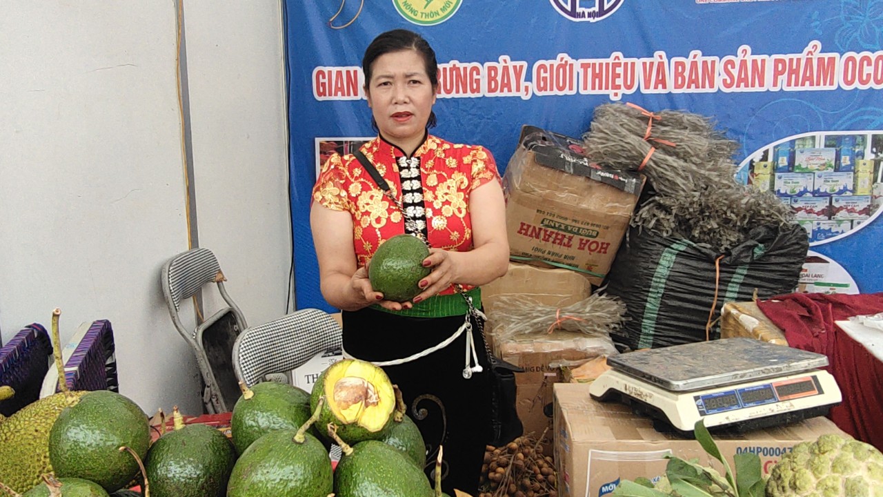 Thưởng thức trái na "khủng", bơ "khủng" ăn mãi không hết tại Tuần hàng OCOP, đặc sản vùng miền Hà Nội - Ảnh 3.