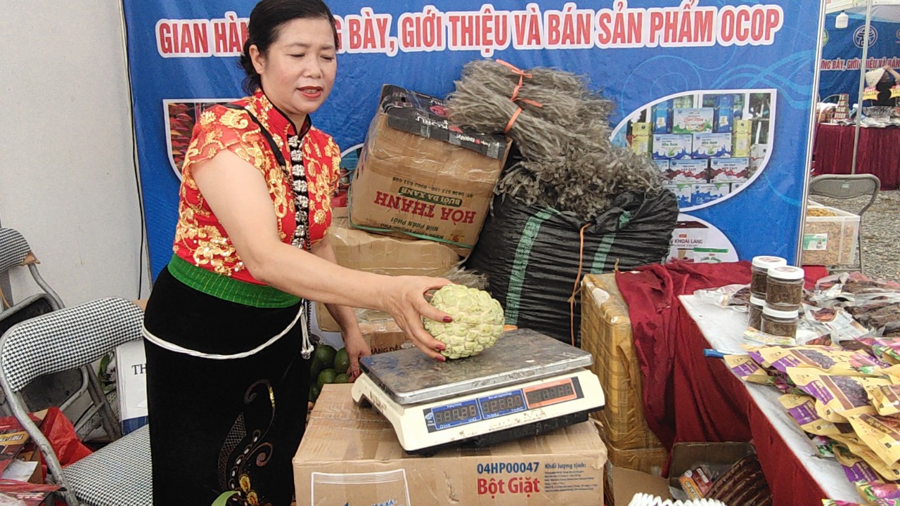 Thưởng thức trái na "khủng", bơ "khủng" ăn mãi không hết tại Tuần hàng OCOP, đặc sản vùng miền Hà Nội - Ảnh 2.