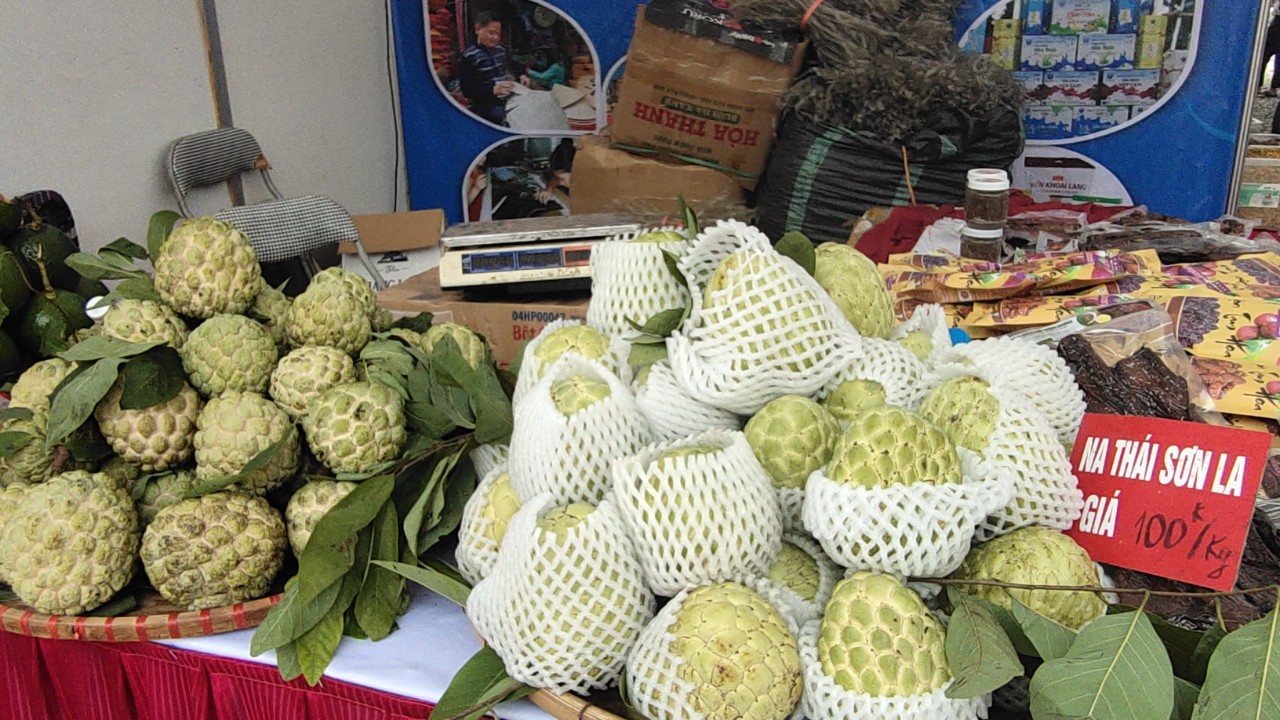 Thưởng thức trái na "khủng", bơ "khủng" ăn mãi không hết tại Tuần hàng OCOP, đặc sản vùng miền Hà Nội - Ảnh 5.