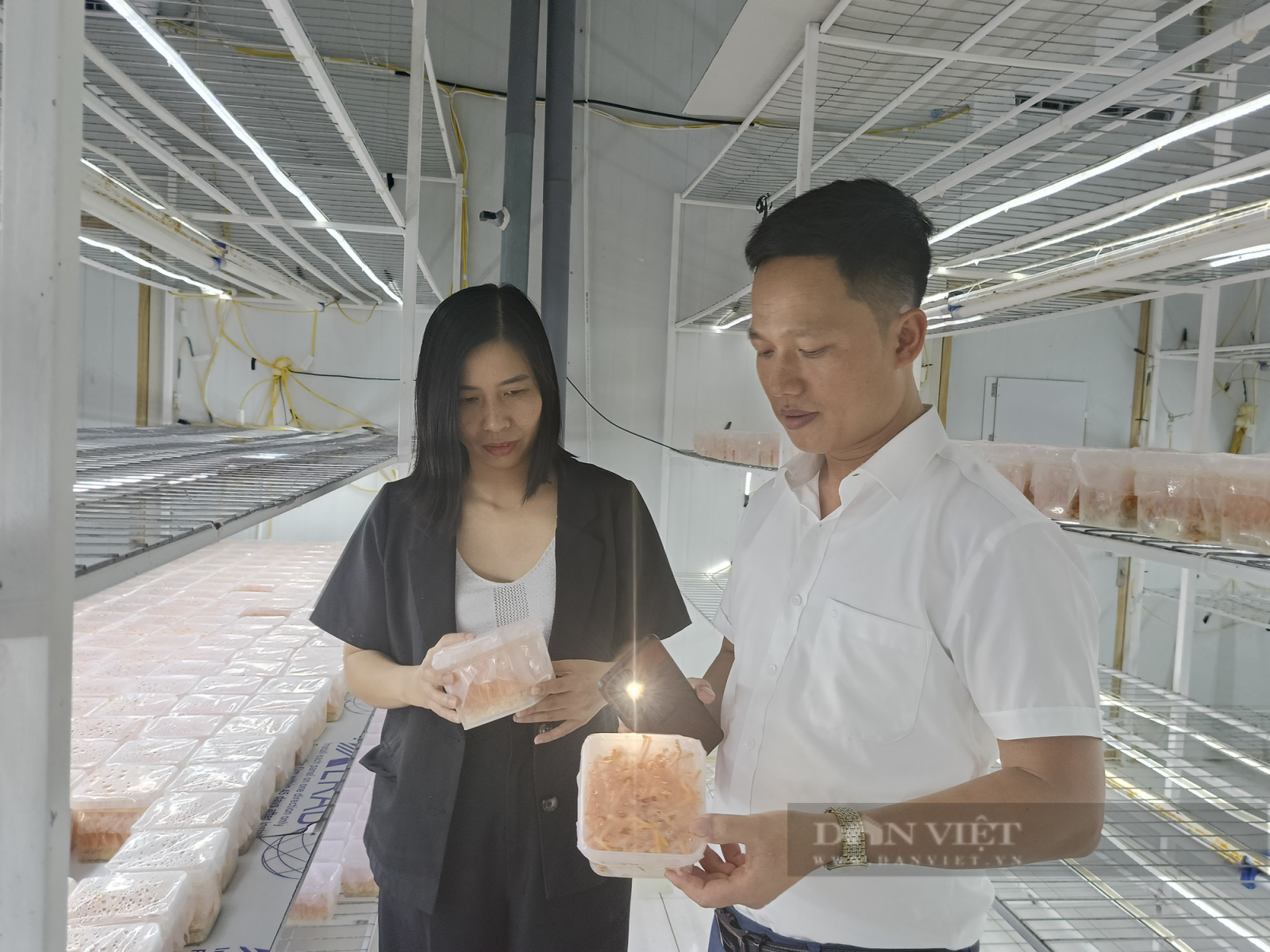 Trồng nấm công nghệ cao, anh nông dân 8X ở Hưng Yên là Nông dân Việt Nam xuất sắc 2023 - Ảnh 4.