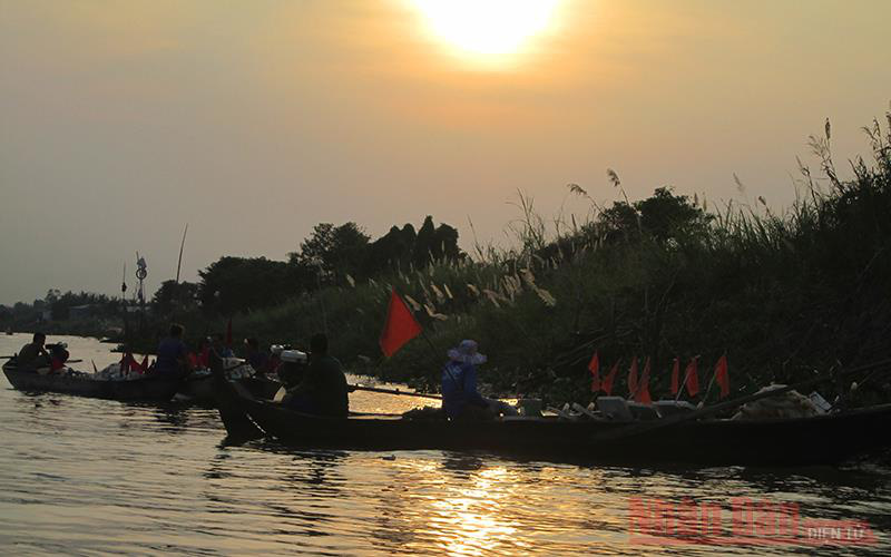 An Giang: Cá bông lau to bự bắt ở sông Vàm Nao ngày càng hiếm, nhưng bán rẻ vẫn ít người mua, vì sao vậy? - Ảnh 1.