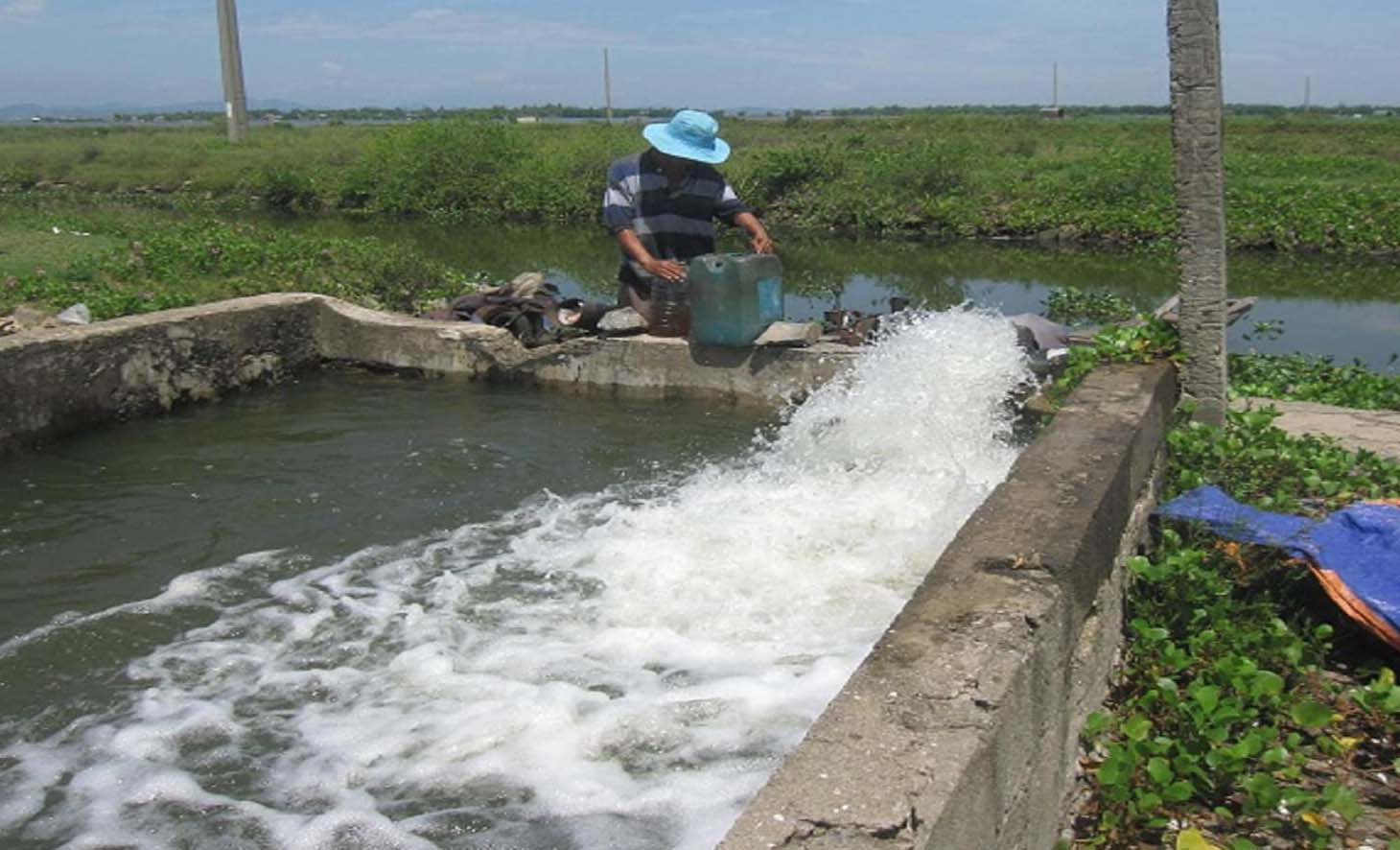 Nguồn nước thay đổi đột ngột, cá nuôi ở xã này của TT-Huế lại chết - Ảnh 1.
