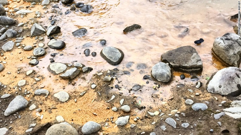 đất bị nhiễm kim loại nặng