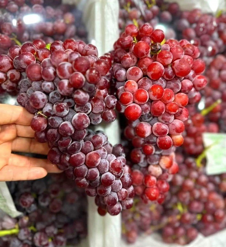 Mẫu mã đẹp, quả cứng, còn nguyên phấn, vị ngọt ngon, nho Trung Quốc đổ bộ chợ Việt với giá "rẻ hơn rau" - Ảnh 1.