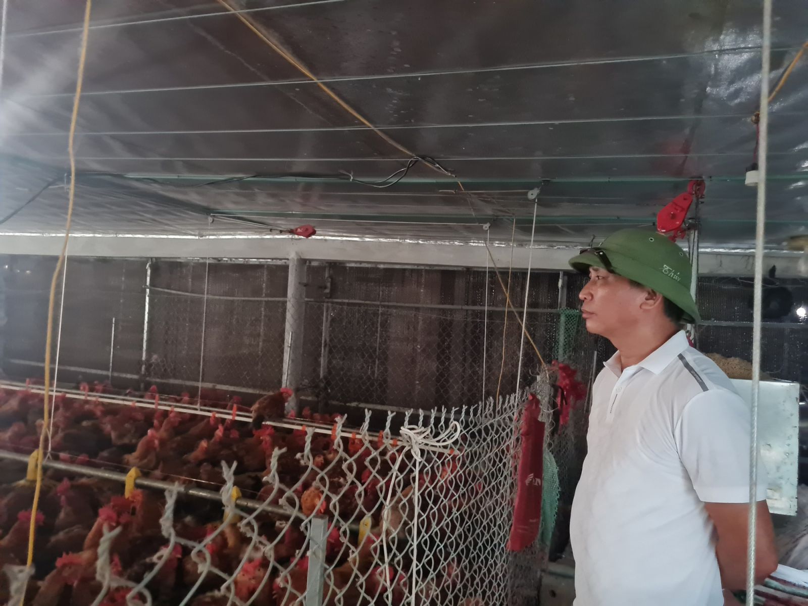 Tự hào xã thuần nông có 3 nông dân Việt Nam xuất sắc - Ảnh 2.