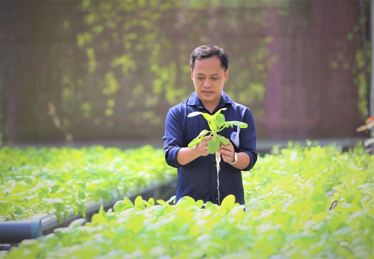 Anh Nguyễn Tấn Phương trong vườn rau được canh tác hoàn toàn bằng công nghệ thông minh. Ảnh: Lan Anh. Anh Nguyễn Tấn Phương trong vườn rau được canh tác hoàn toàn bằng công nghệ thông minh. Ảnh: Lan Anh.