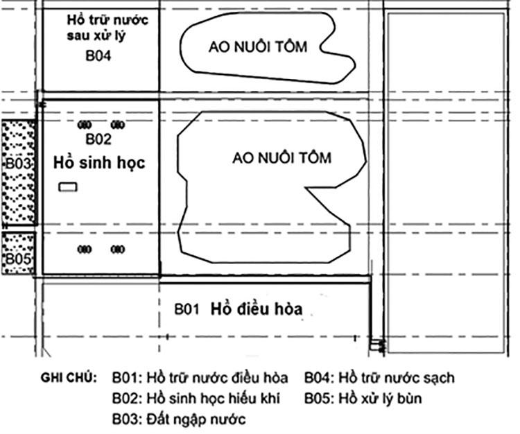 Nước ao tôm