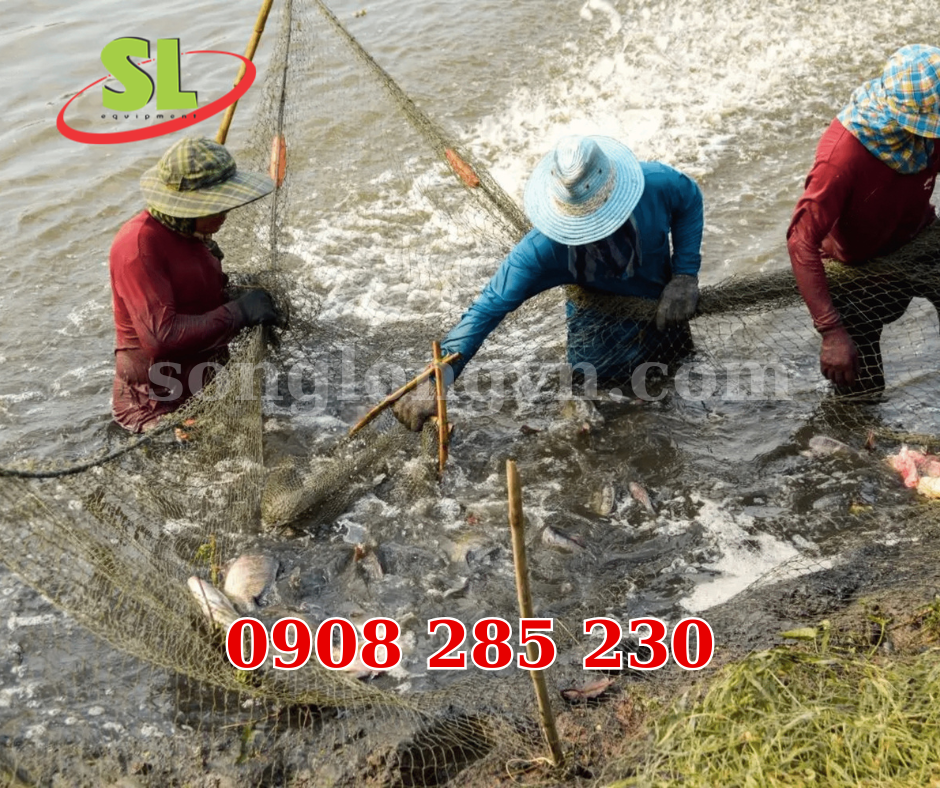 Nước nhiễm mặn
