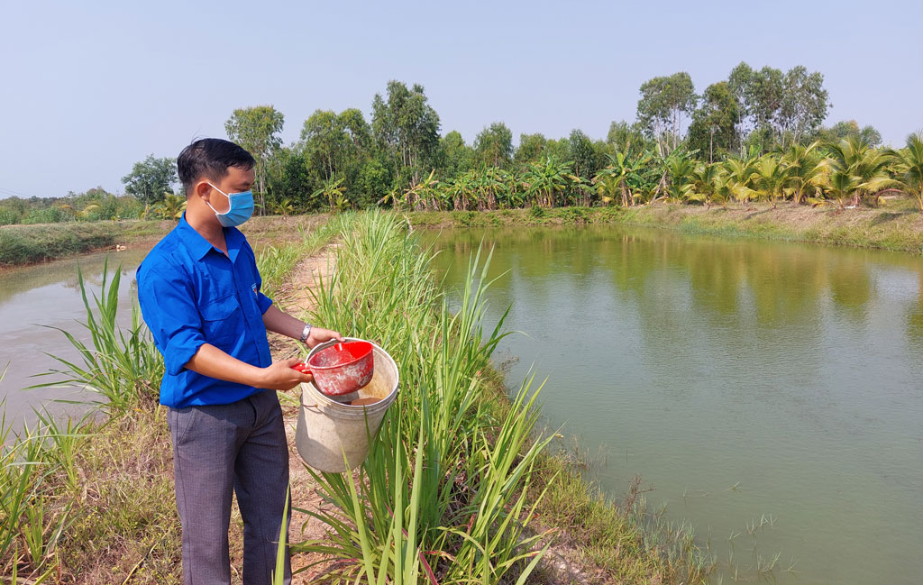 Nuôi cá trê vàng, nông dân nơi này ở Long An kiếm bộn tiền - Ảnh 1.