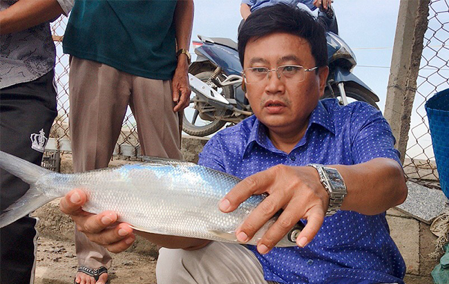 Cá chua nuôi với tôm, cua, ngỡ "nuôi lung tung", ai ngờ nông dân Bình Định lại kiếm khoản tiền to hơn - Ảnh 1. Cá chua nuôi với tôm, cua, ngỡ "nuôi lung tung", ai ngờ nông dân Bình Định lại kiếm khoản tiền to hơn - Ảnh 1.