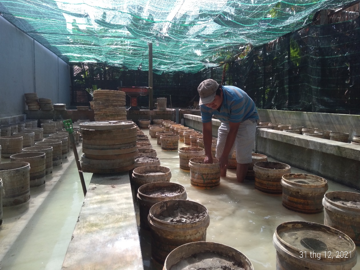 Kỹ sư điện bỏ đất Bình Dương về quê Phú Yên nuôi lươn đẻ theo kiểu lạ mắt, ngày càng nhiều người đến xem - Ảnh 3.
