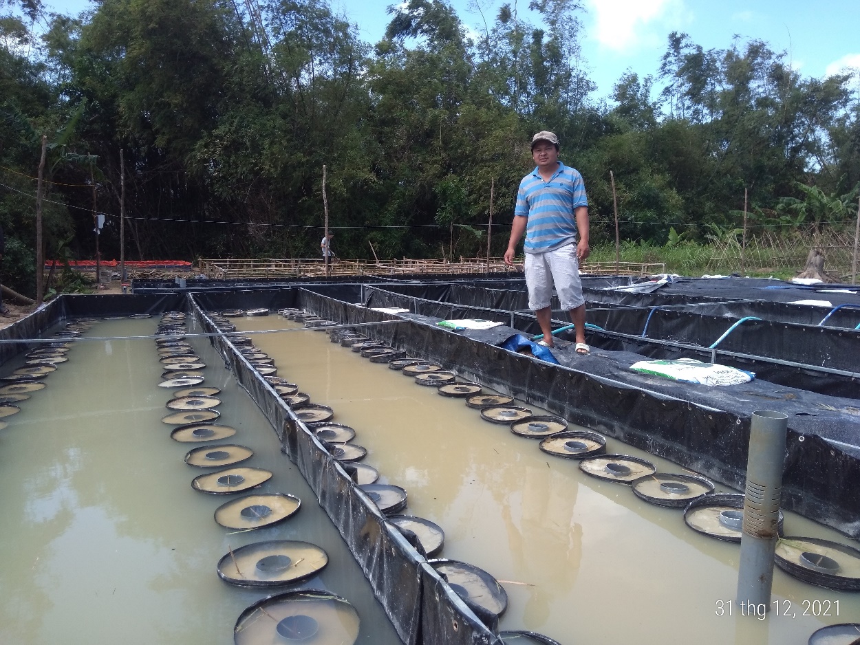 Kỹ sư điện bỏ đất Bình Dương về quê Phú Yên nuôi lươn đẻ theo kiểu lạ mắt, ngày càng nhiều người đến xem - Ảnh 1.