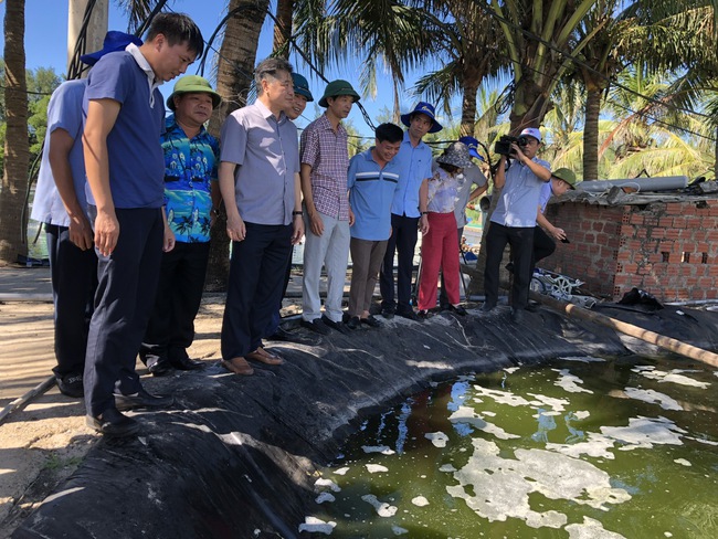 Nuôi tôm công nghệ cao: Nhiều mô hình thu tiền tỷ ở Bắc Trung Bộ - Ảnh 1. Nuôi tôm công nghệ cao: Nhiều mô hình thu tiền tỷ ở Bắc Trung Bộ - Ảnh 1.
