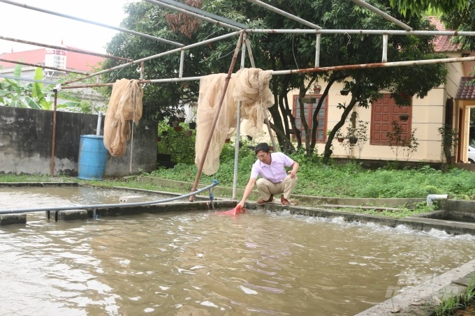 watermark_tom-cang-xanh-2-1518_20220424_73.jpg Khu vực ương tôm vào mùa đông. Ảnh: Đinh Mười.