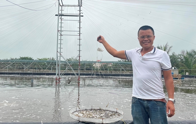 Nuôi tôm nhảy rô rố, nuôi cua to bự trong hộp nhựa, một nông dân Hà Tĩnh thành tỷ phú - Ảnh 1. Nuôi tôm nhảy rô rố, nuôi cua to bự trong hộp nhựa, một nông dân Hà Tĩnh thành tỷ phú - Ảnh 1.