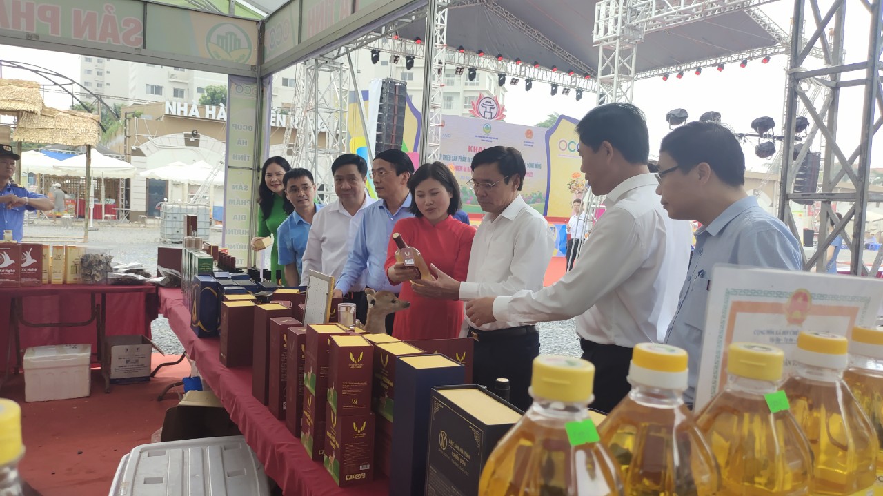 Thưởng thức trái na "khủng", bơ "khủng" ăn mãi không hết tại Tuần hàng OCOP, đặc sản vùng miền Hà Nội - Ảnh 8.