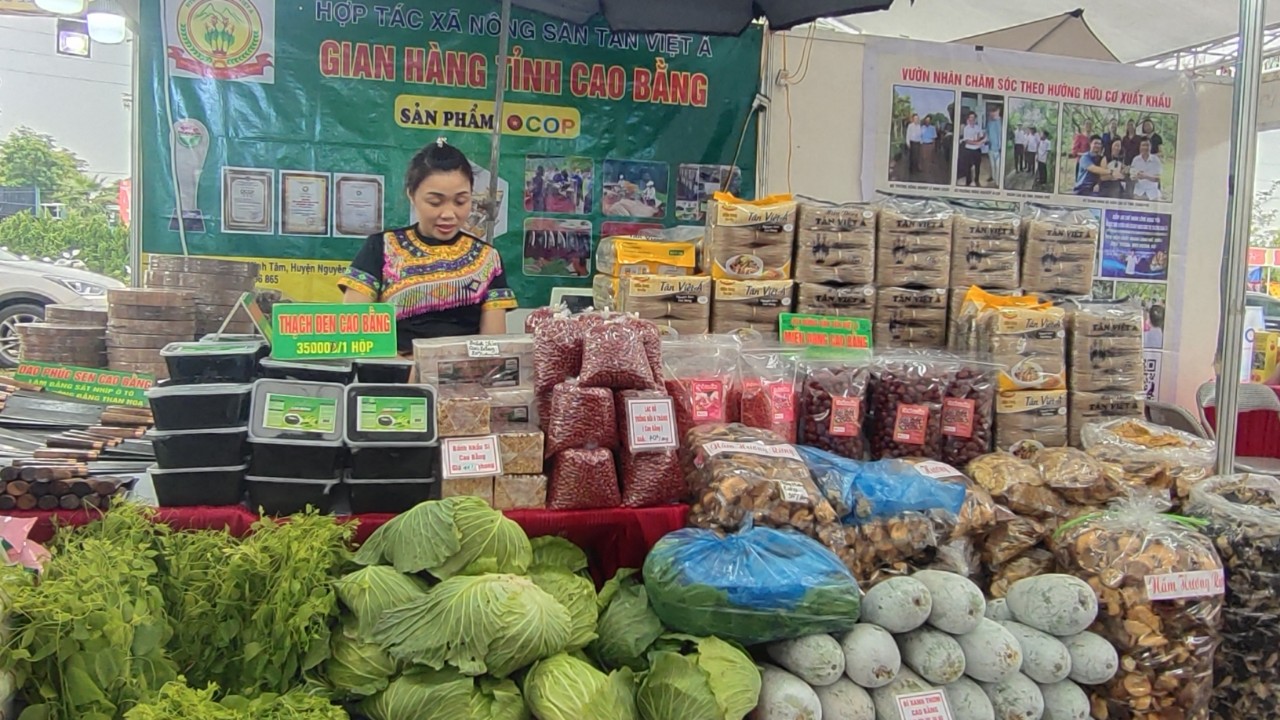 Thưởng thức trái na "khủng", bơ "khủng" ăn mãi không hết tại Tuần hàng OCOP, đặc sản vùng miền Hà Nội - Ảnh 6.