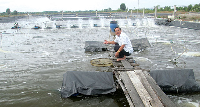 Ống Gấm