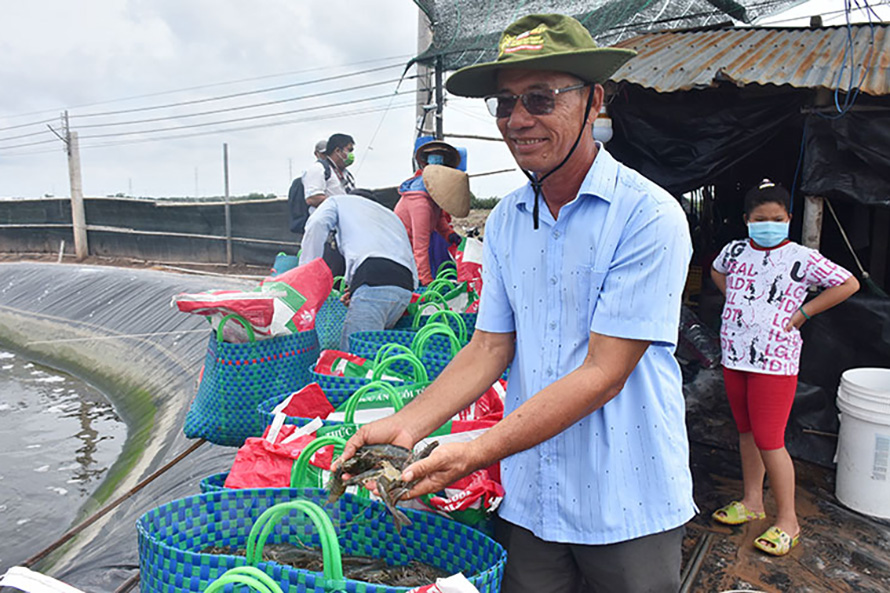 nuôi tôm công nghệ cao