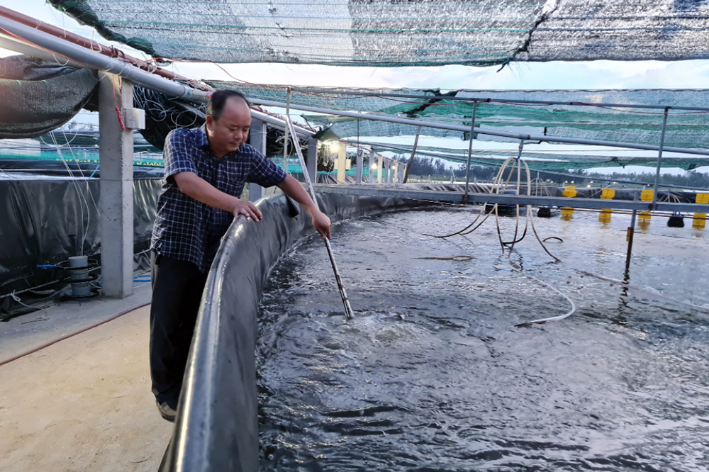 nuôi tôm công nghệ cao