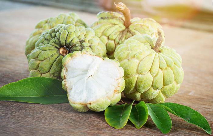 Loại quả lắm mắt không đếm xuể bán đầy ngoài chợ hóa ra có công dụng như "thần dược" mà ít ai biết - Ảnh 2.