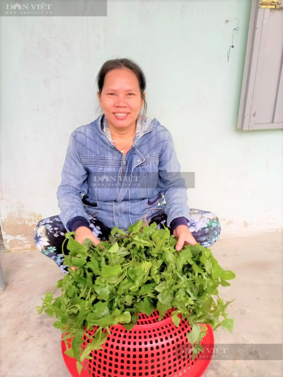Nông dân Phú Yên hái loại rau mọc dại trên rẫy, ai ngờ lại thành đặc sản, kiếm cả bộn tiền - Ảnh 4.
